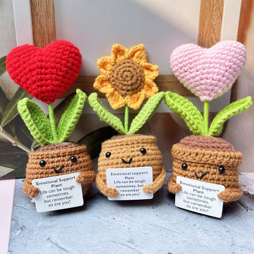 🎁Handmade Emotional Support Plant Gift